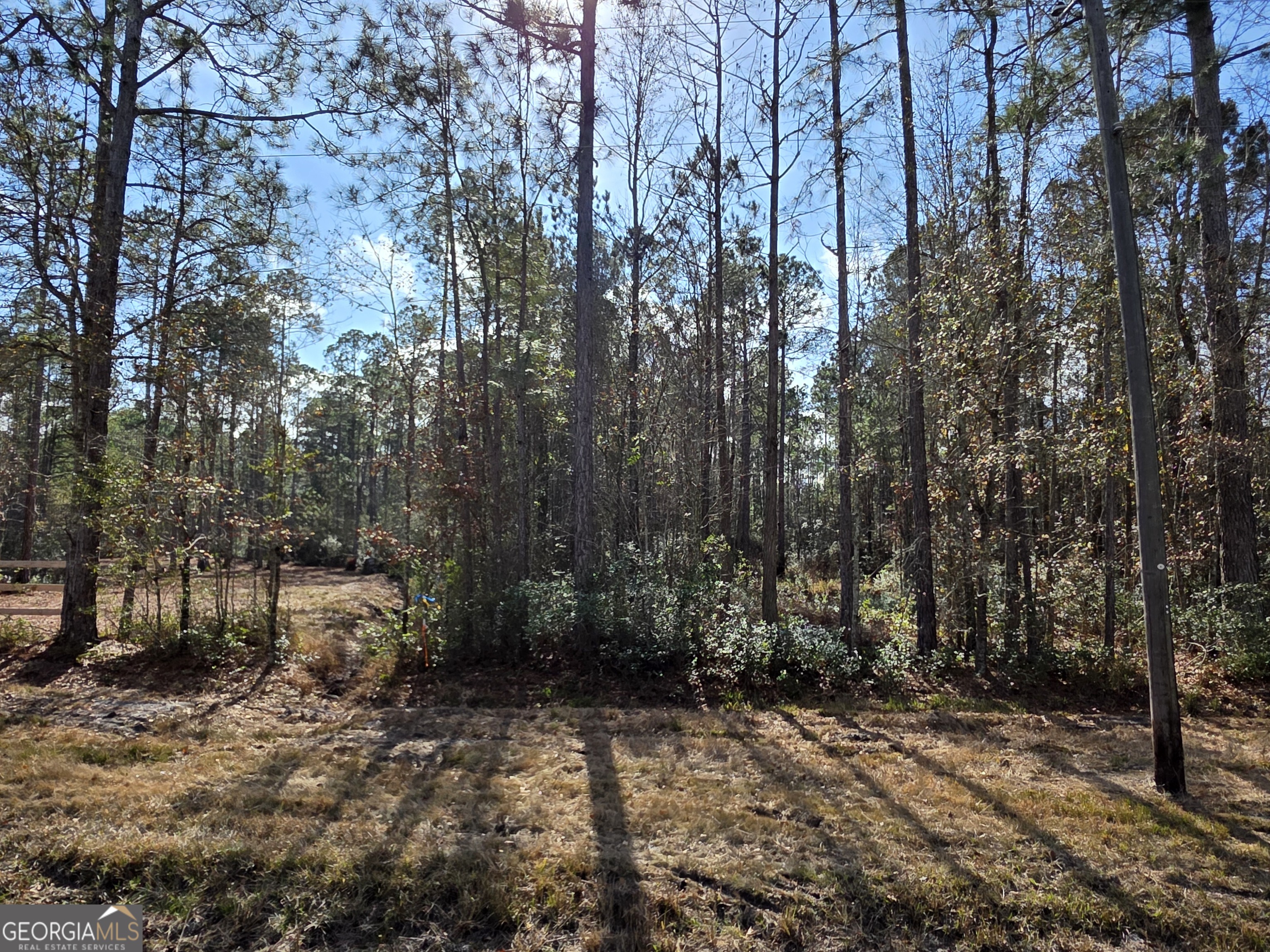 1743 Shawnee Egypt Road Guyton, GA 31312 - Photo 12 of 28 a view of a forest with trees