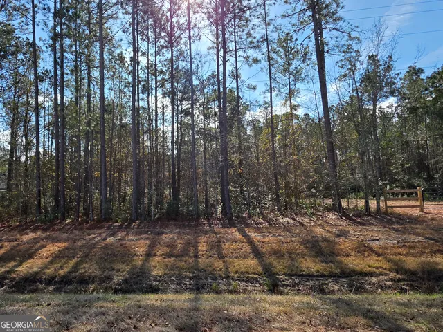 a view of outdoor space with lots of trees