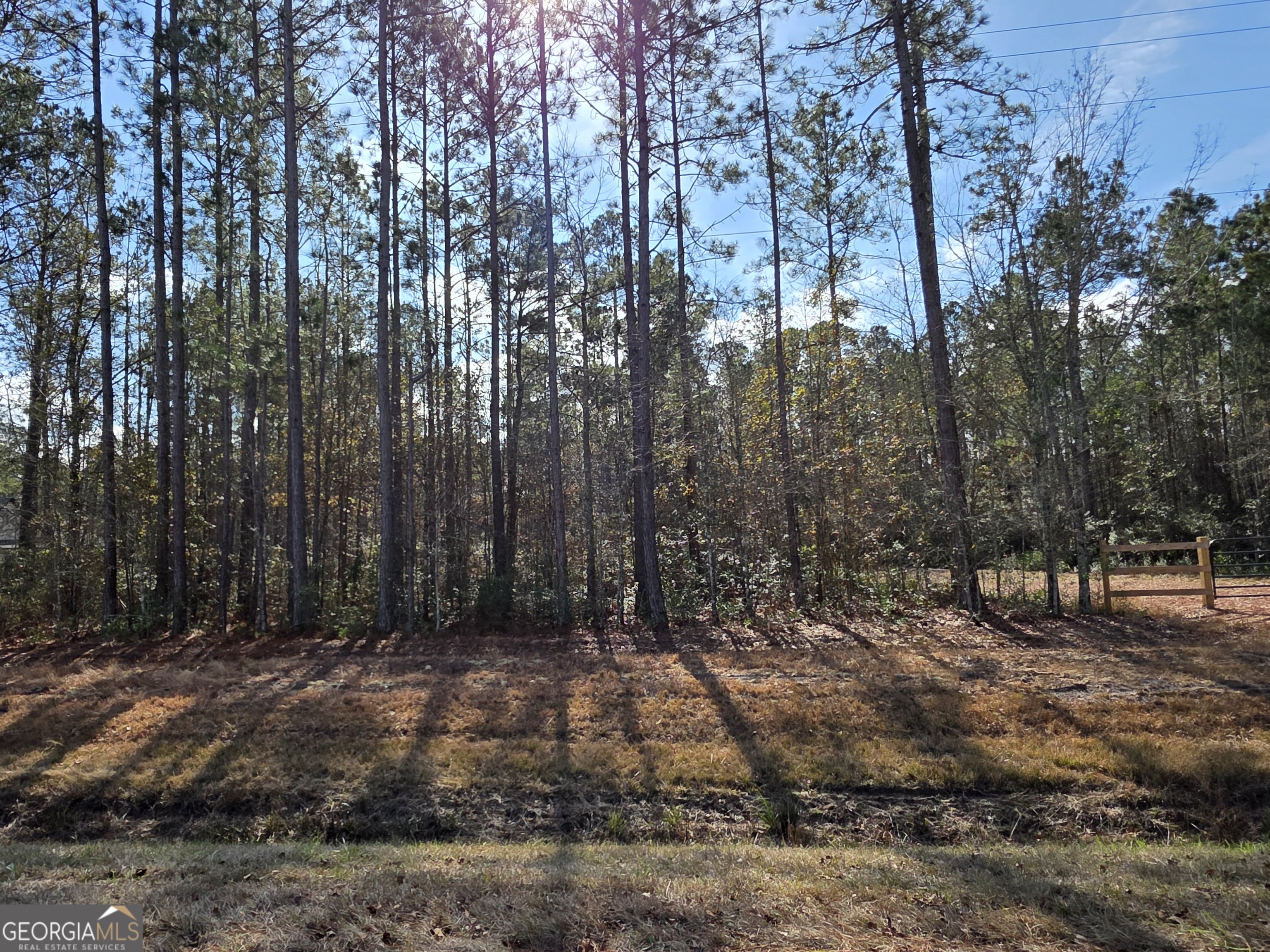 1743 Shawnee Egypt Road Guyton, GA 31312 - Photo 14 of 28 a view of outdoor space with lots of trees