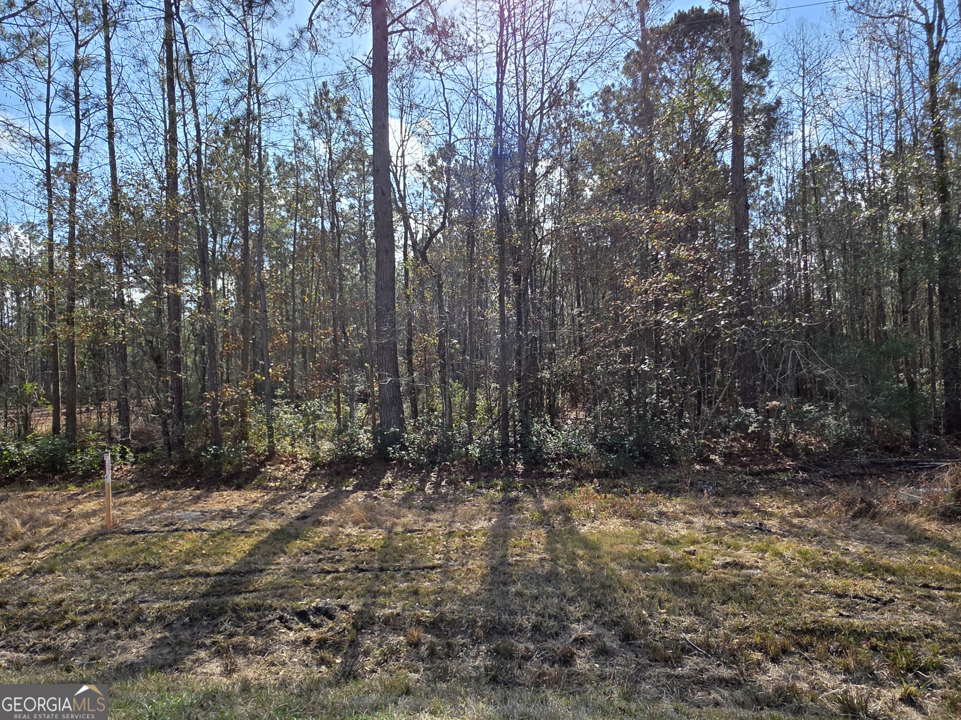 1743 Shawnee Egypt Road Guyton, GA 31312 - Photo 15 of 28 a view of outdoor space and green space