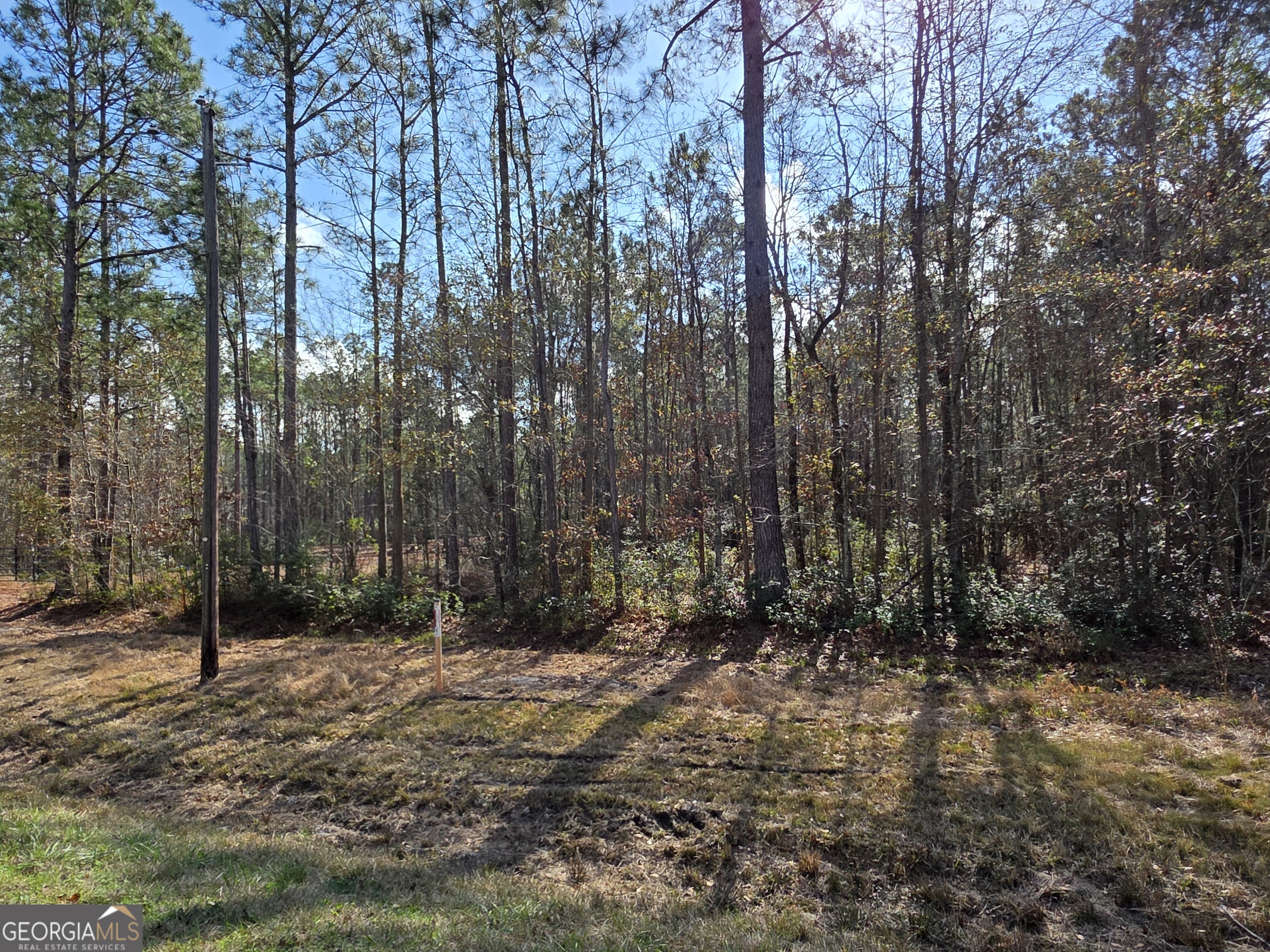 1743 Shawnee Egypt Road Guyton, GA 31312 - Photo 16 of 28 a view of backyard with tree
