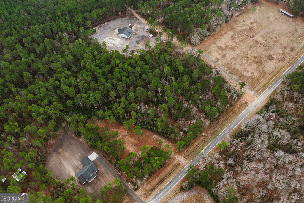 1743 Shawnee Egypt Road Guyton, GA 31312 - Photo 17 of 28 a backyard of a house with lots of green space