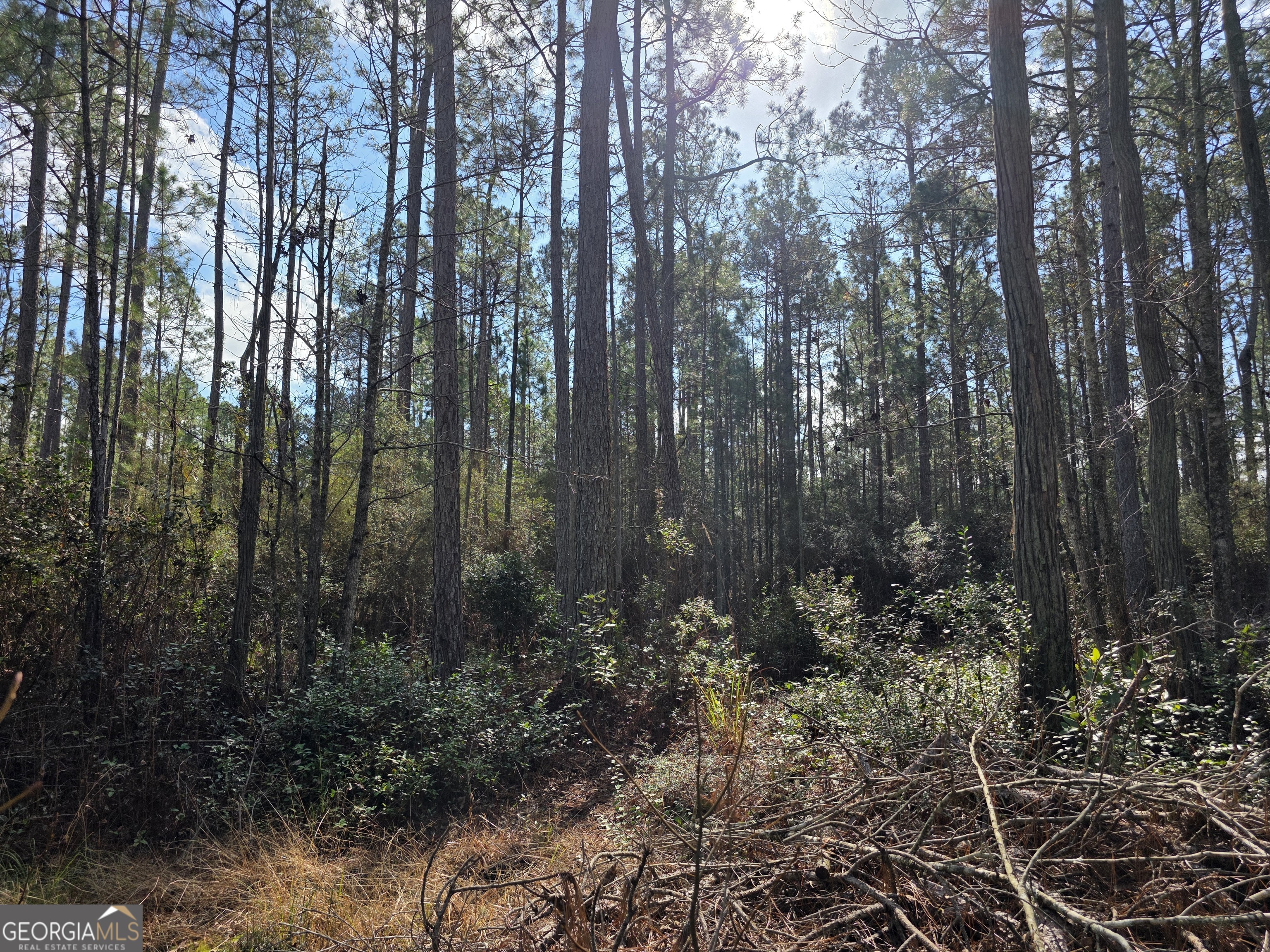 1743 Shawnee Egypt Road Guyton, GA 31312 - Photo 19 of 28 a view of outdoor space and green space