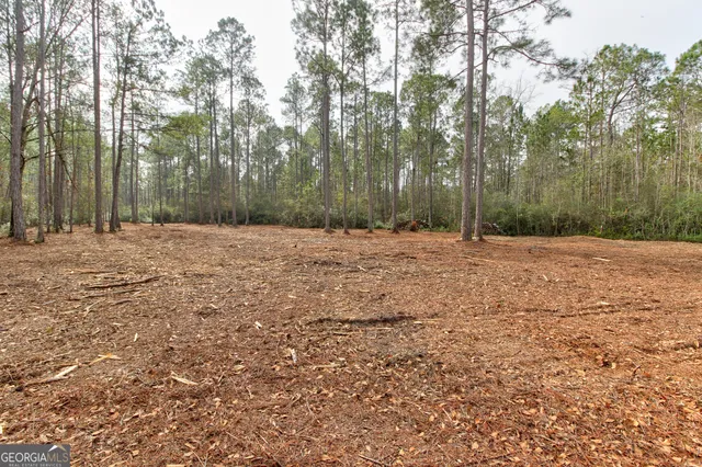 a the view of road with trees