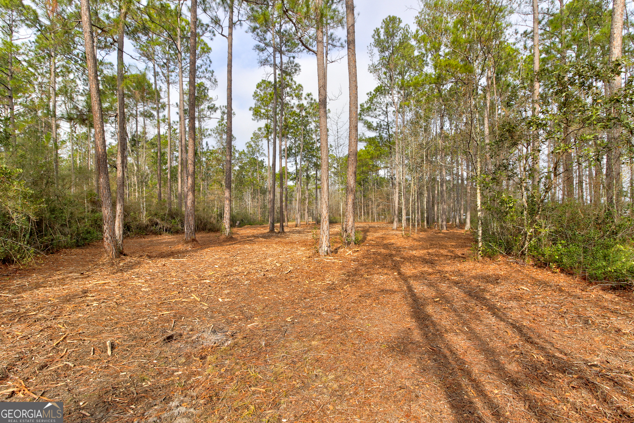 1743 Shawnee Egypt Road Guyton, GA 31312 - Photo 21 of 28 a view of backyard with trees