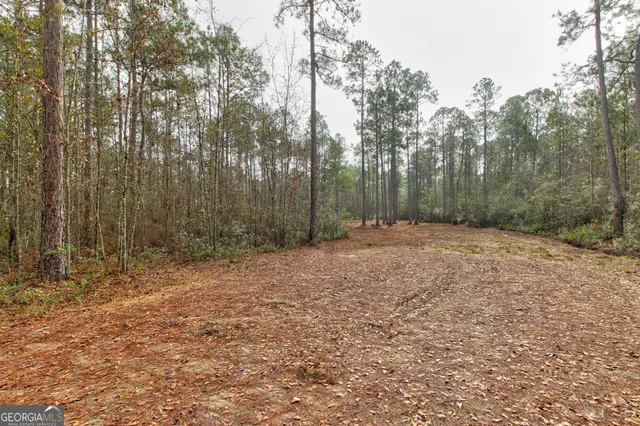 a view of outdoor space with trees