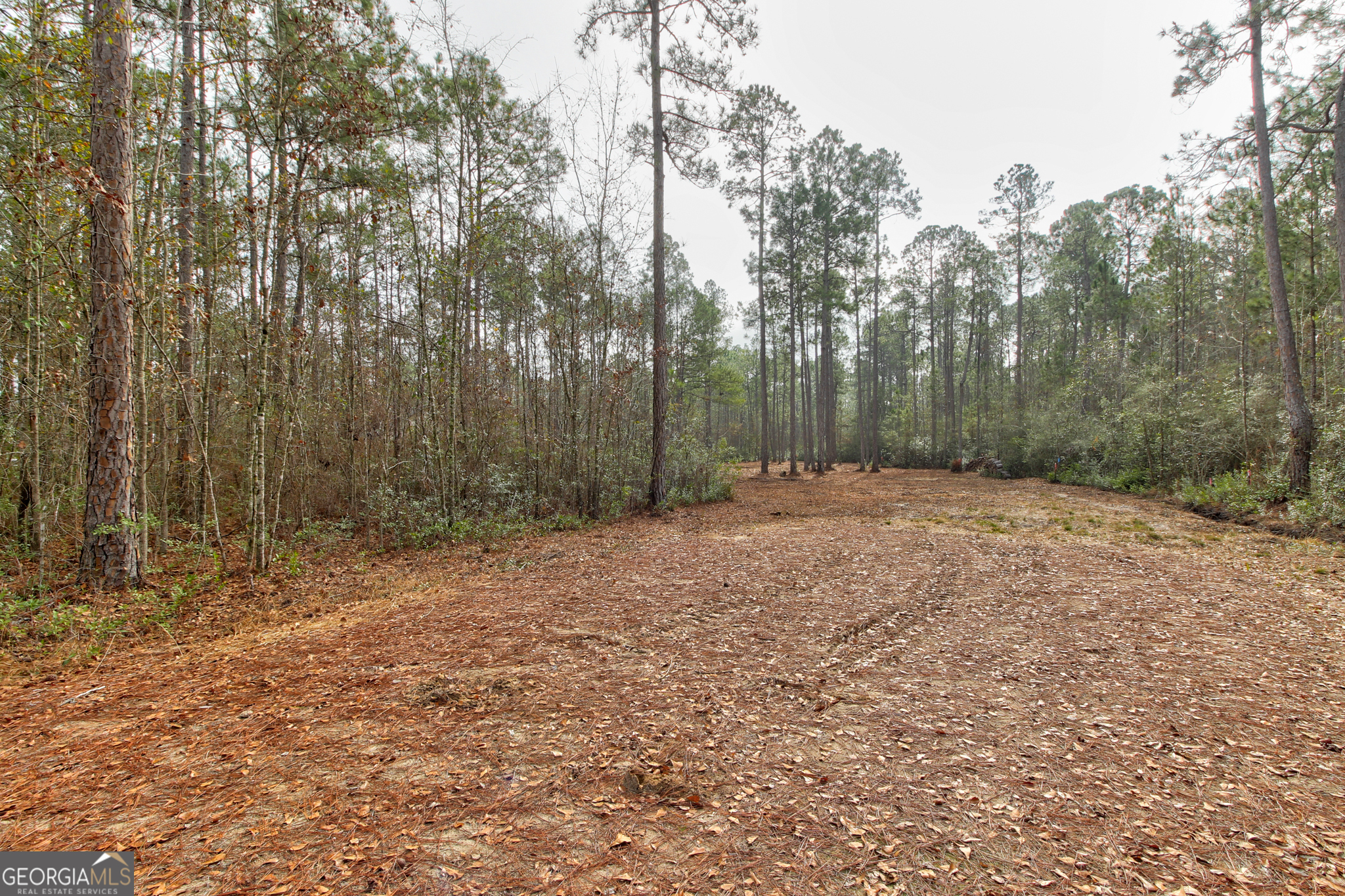 1743 Shawnee Egypt Road Guyton, GA 31312 - Photo 24 of 28 a view of outdoor space with trees