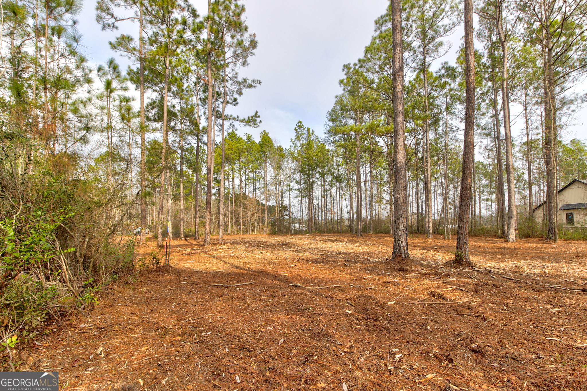 1743 Shawnee Egypt Road Guyton, GA 31312 - Photo 25 of 28 a backyard of a house with lots of green space