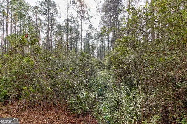 a view of a yard with a tree
