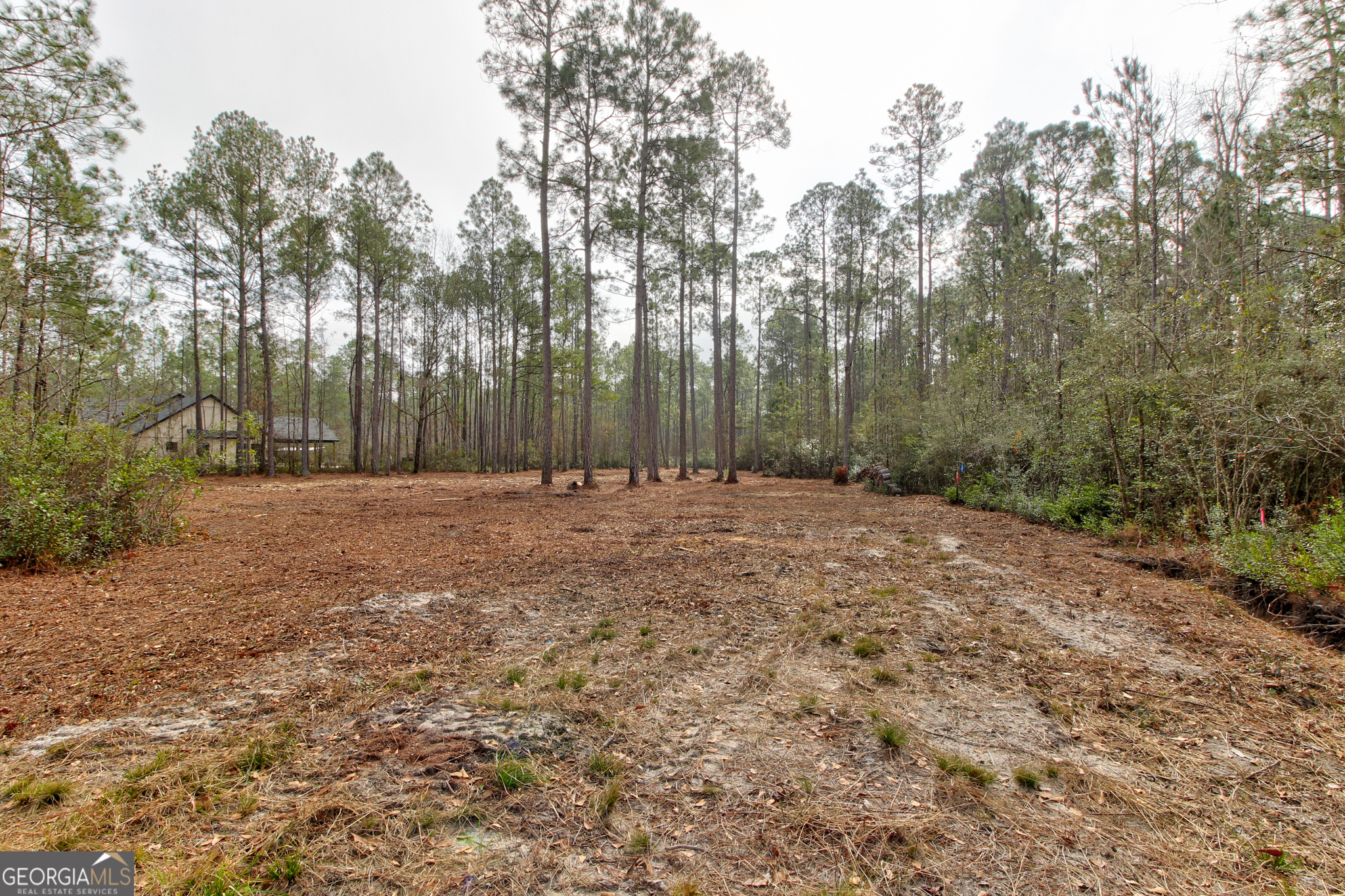 1743 Shawnee Egypt Road Guyton, GA 31312 - Photo 27 of 28 a view of outdoor space with trees