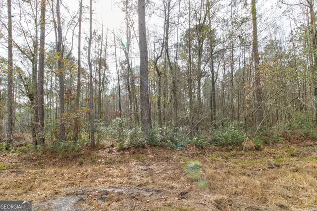 a view of outdoor space with lots of trees