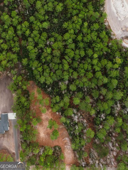 1743 Shawnee Egypt Road Guyton, GA 31312 - Photo 3 of 28 a view of a tree in a yard