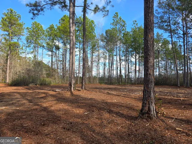 a view of a tree in front of a house
