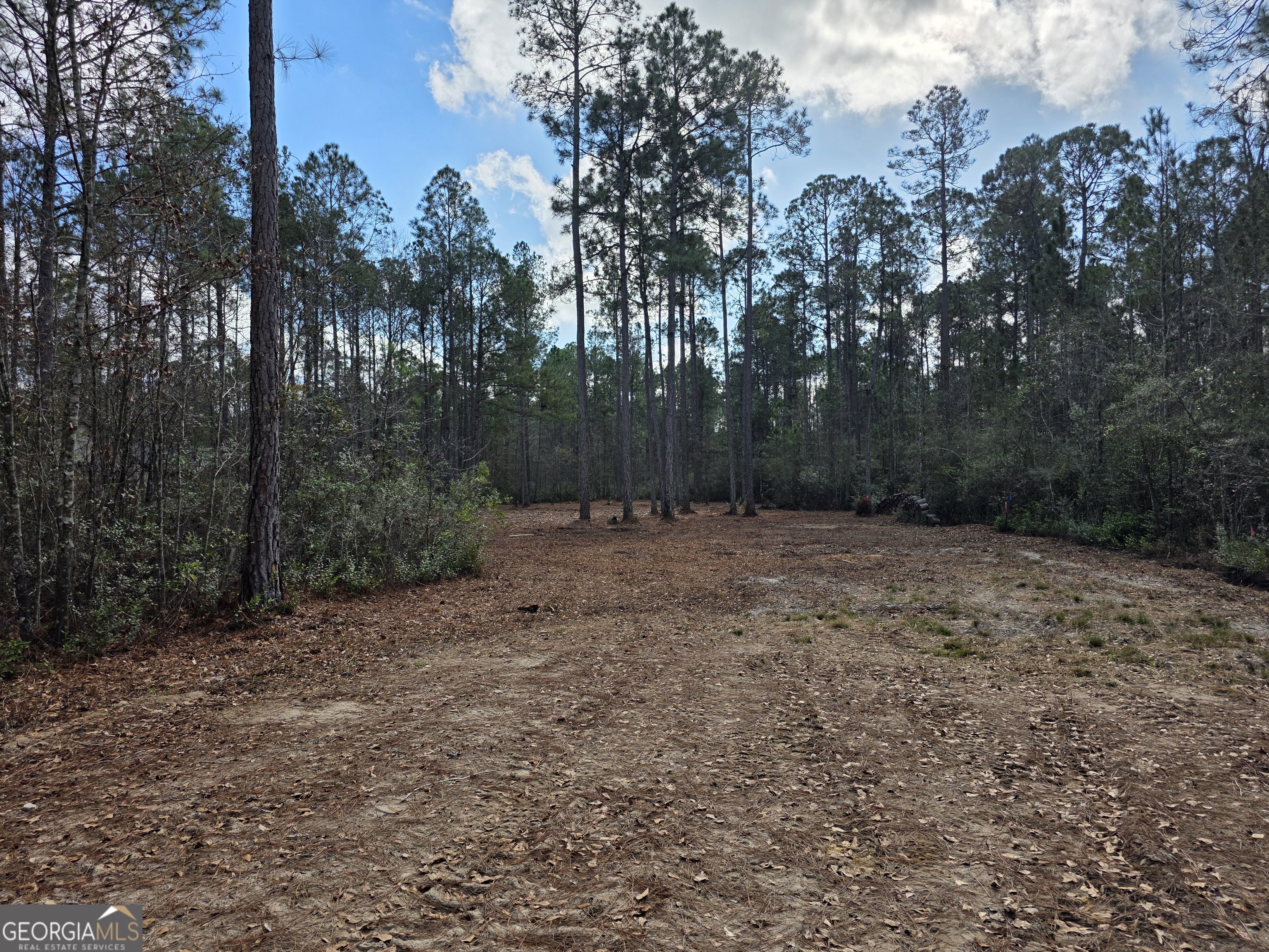 1743 Shawnee Egypt Road Guyton, GA 31312 - Photo 5 of 28 a view of a field with trees in the background