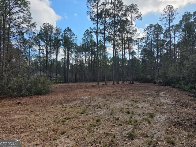 a view of backyard with tree