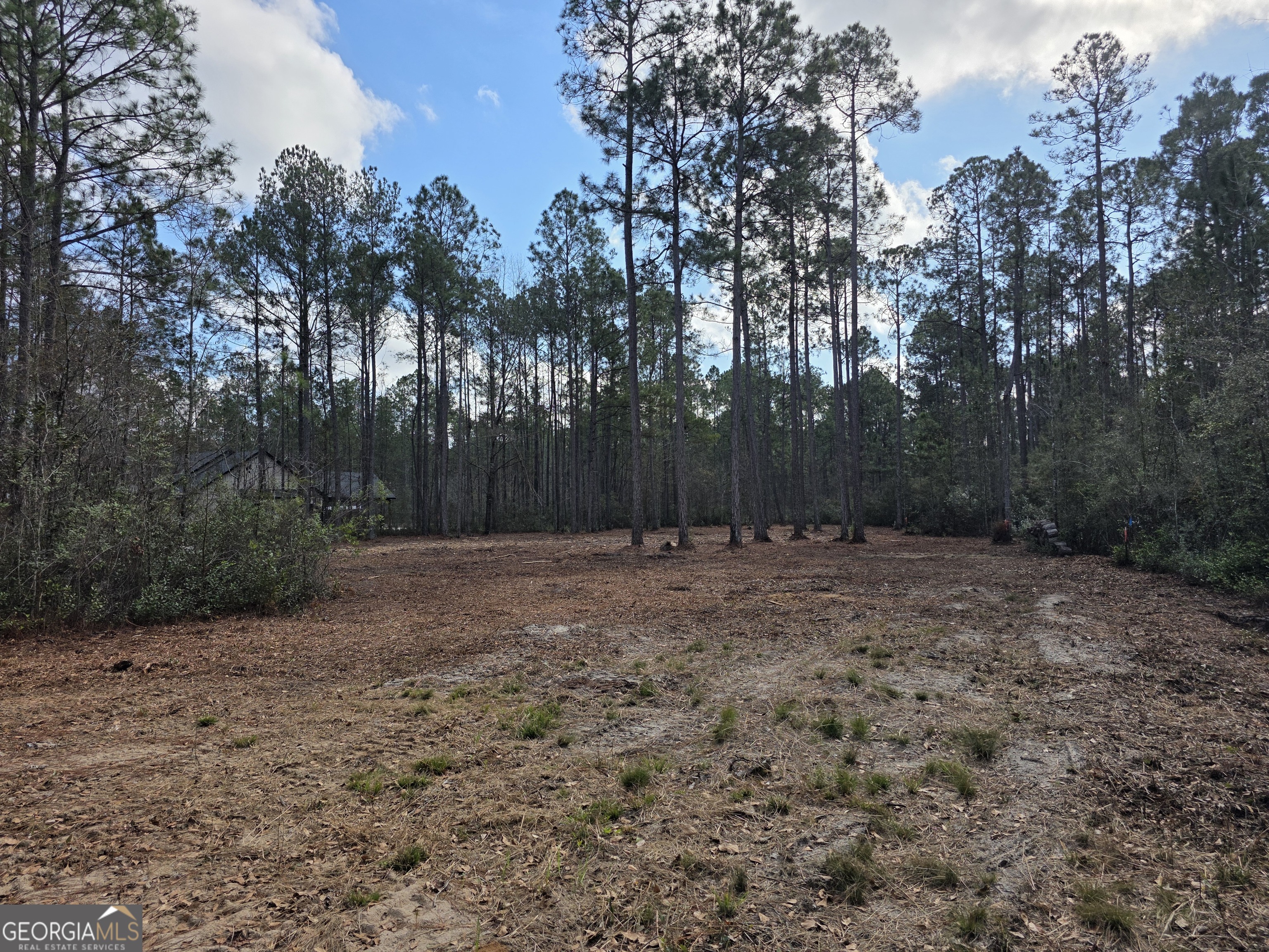 1743 Shawnee Egypt Road Guyton, GA 31312 - Photo 6 of 28 a view of backyard with tree