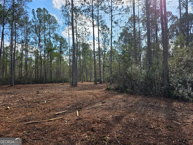 a view of a yard with trees in the background