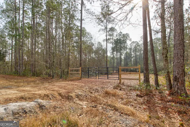 a view of a backyard with trees