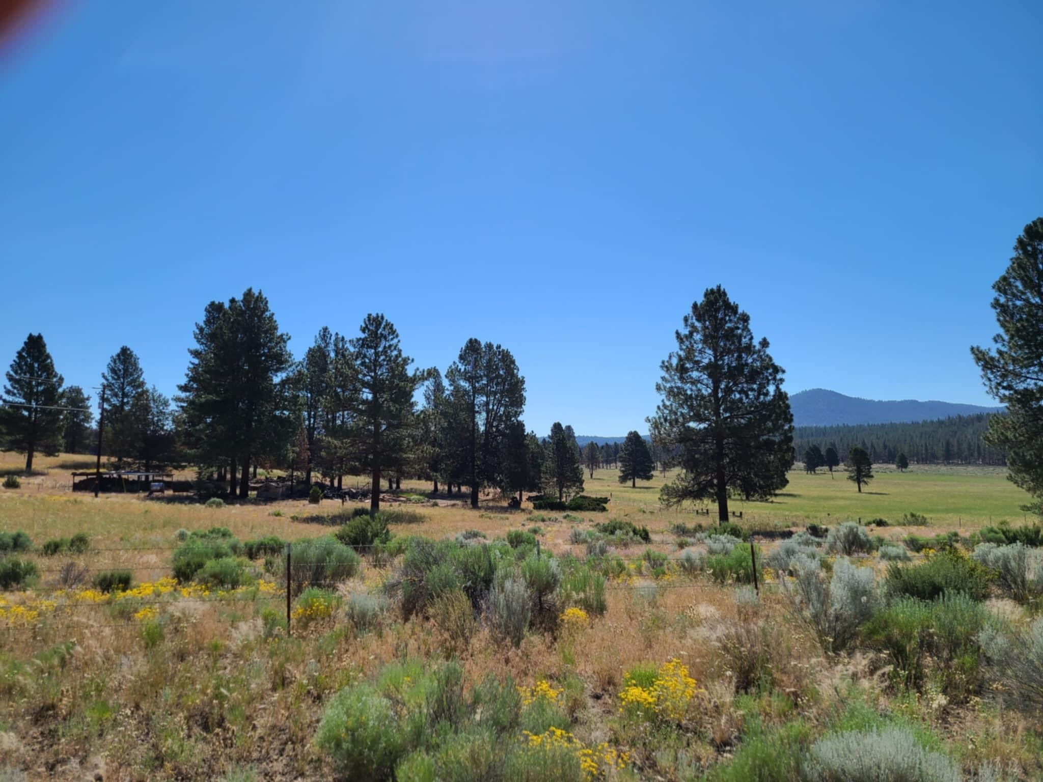 31747 Godowa Springs Road Beatty, OR 97621 - Photo 4 of 23 Messenger_creation_61D1E721-EE99-4487-A0