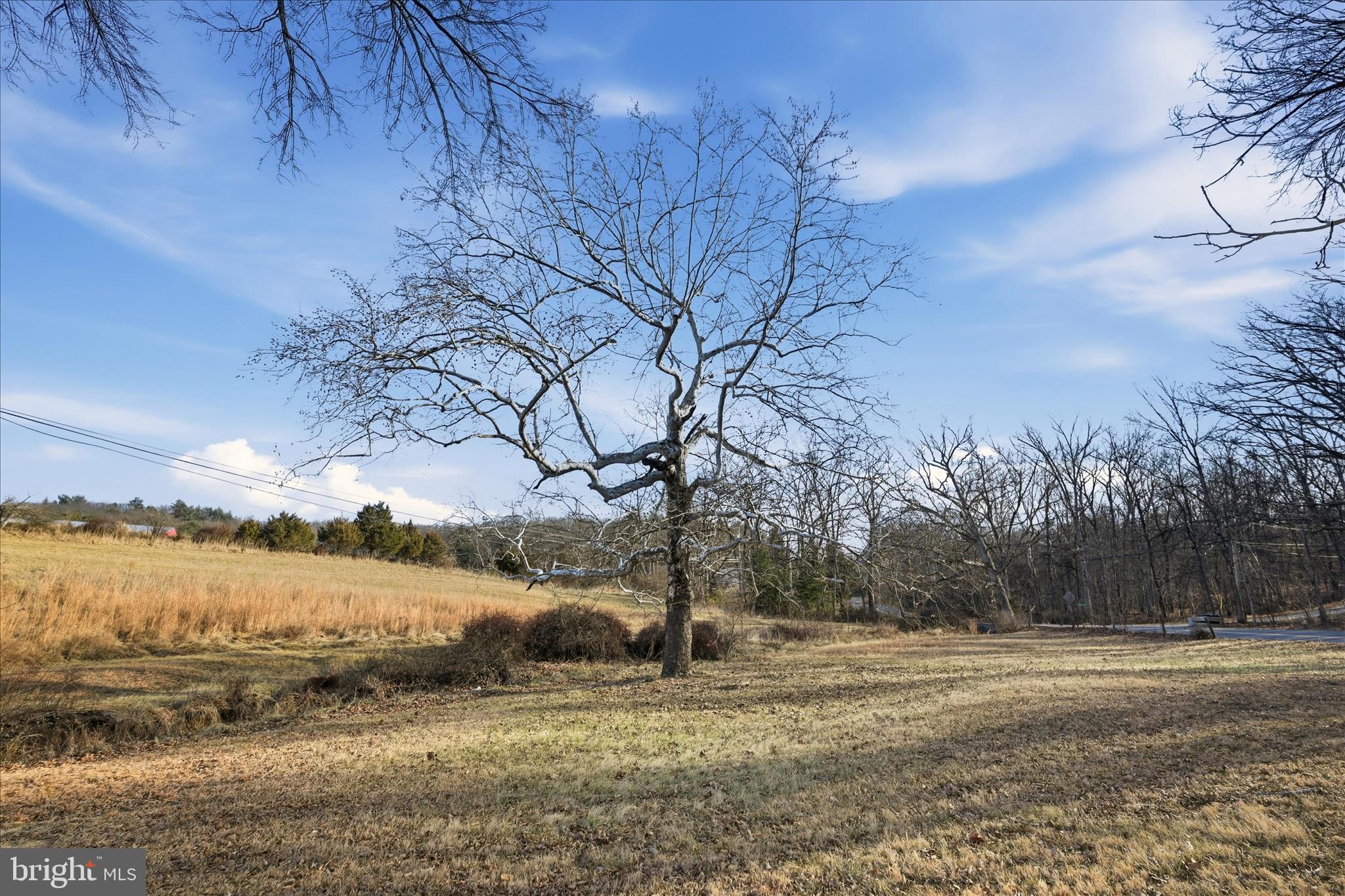 2879 Christian Church Road High View, WV 26808 - Photo 52 of 106 Backyard