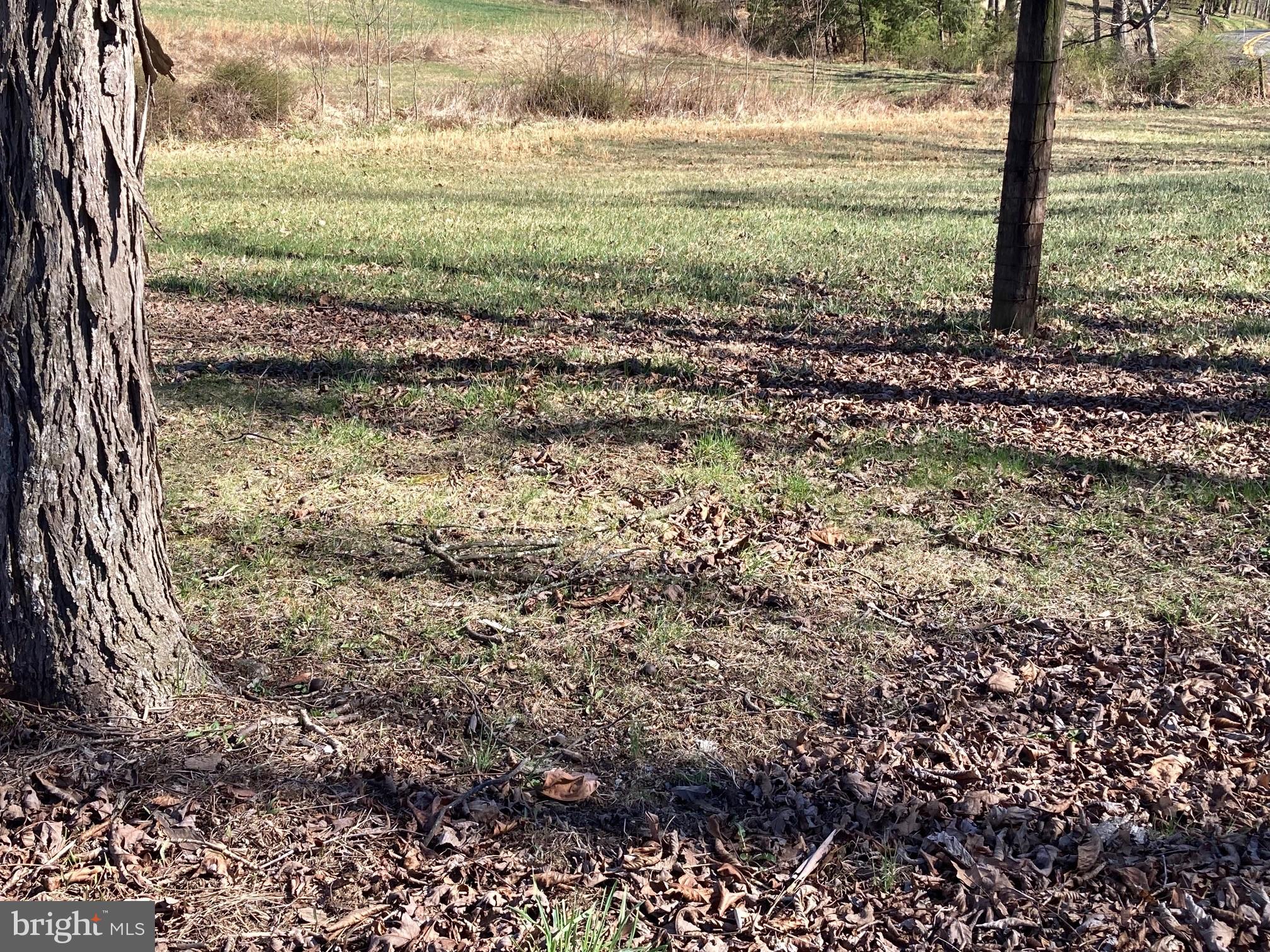 2879 Christian Church Road High View, WV 26808 - Photo 64 of 106 Yard