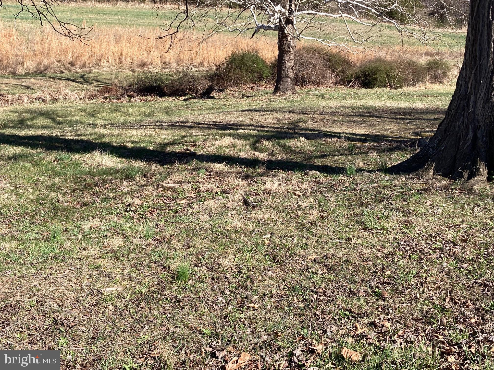 2879 Christian Church Road High View, WV 26808 - Photo 65 of 106 Yard