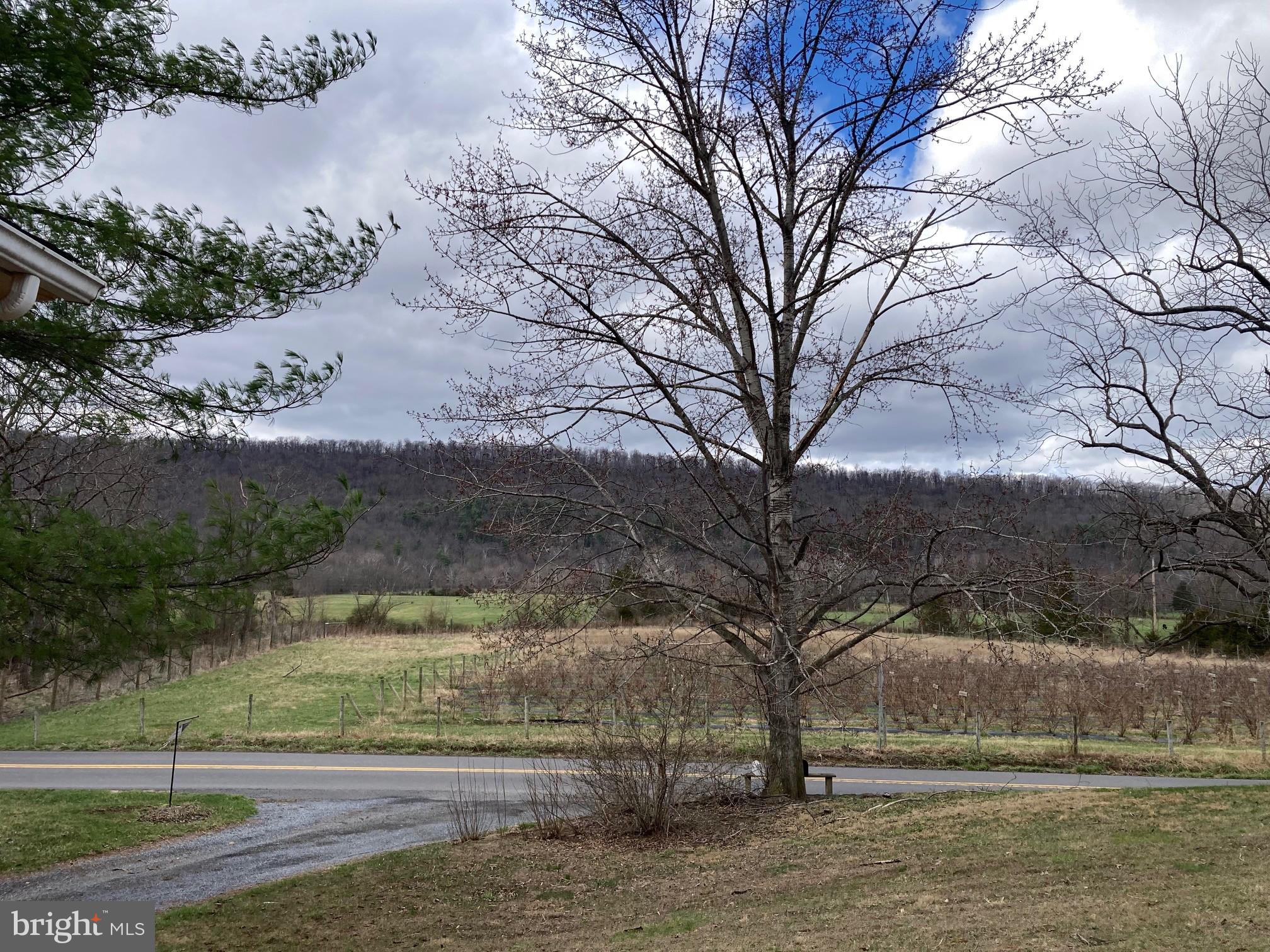 2879 Christian Church Road High View, WV 26808 - Photo 68 of 106 View