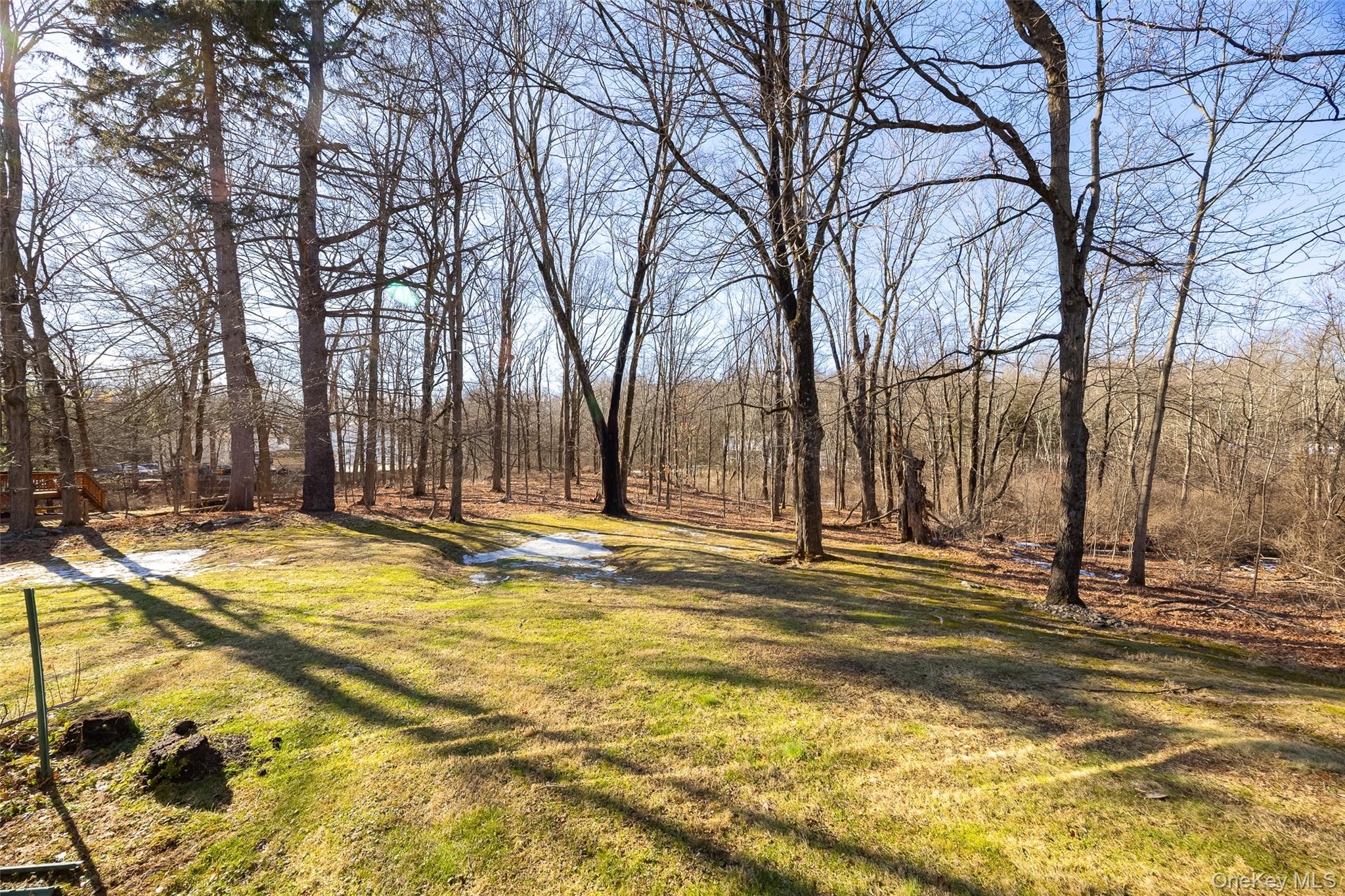5 Chestnut Ridge Road Poughkeepsie, NY 12603 - Photo 30 of 39 a view of a house with snow on the tree