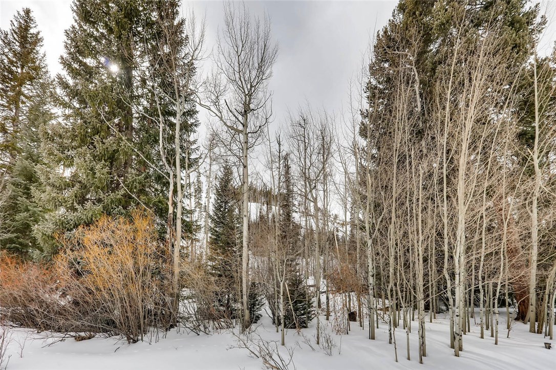 33 Emerald Road Silverthorne, CO 80498 - Photo 6 of 25 Seasonal stream runs through this piece of land.