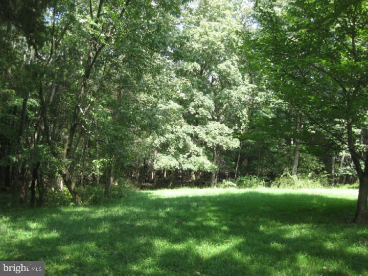 6845 Stump Road Pipersville, PA 18947 - Photo 12 of 16 View