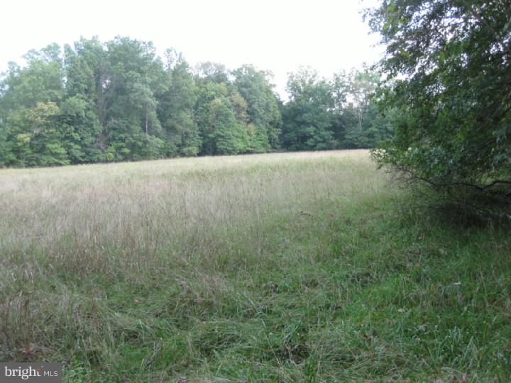 6845 Stump Road Pipersville, PA 18947 - Photo 13 of 16 View