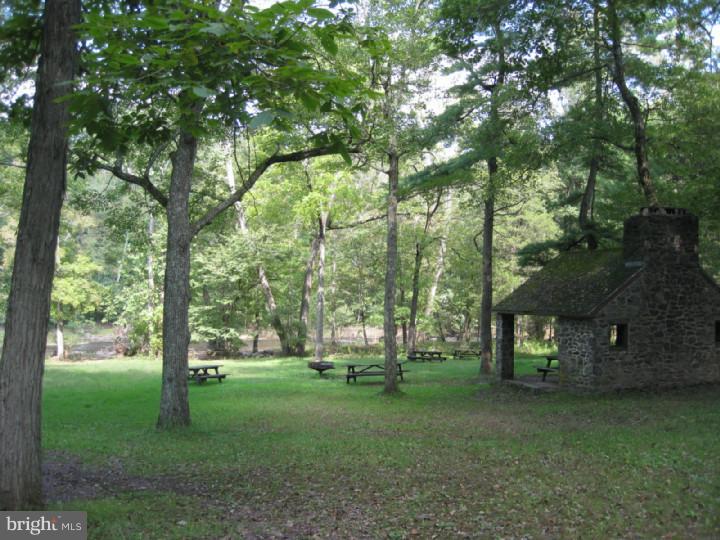 6845 Stump Road Pipersville, PA 18947 - Photo 15 of 16 Nearby Park