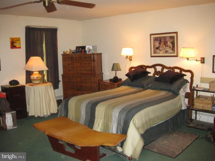 6845 Stump Road Pipersville, PA 18947 - Photo 8 of 16 Bedroom - Main