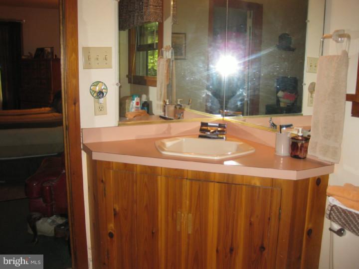 6845 Stump Road Pipersville, PA 18947 - Photo 10 of 16 Bathroom