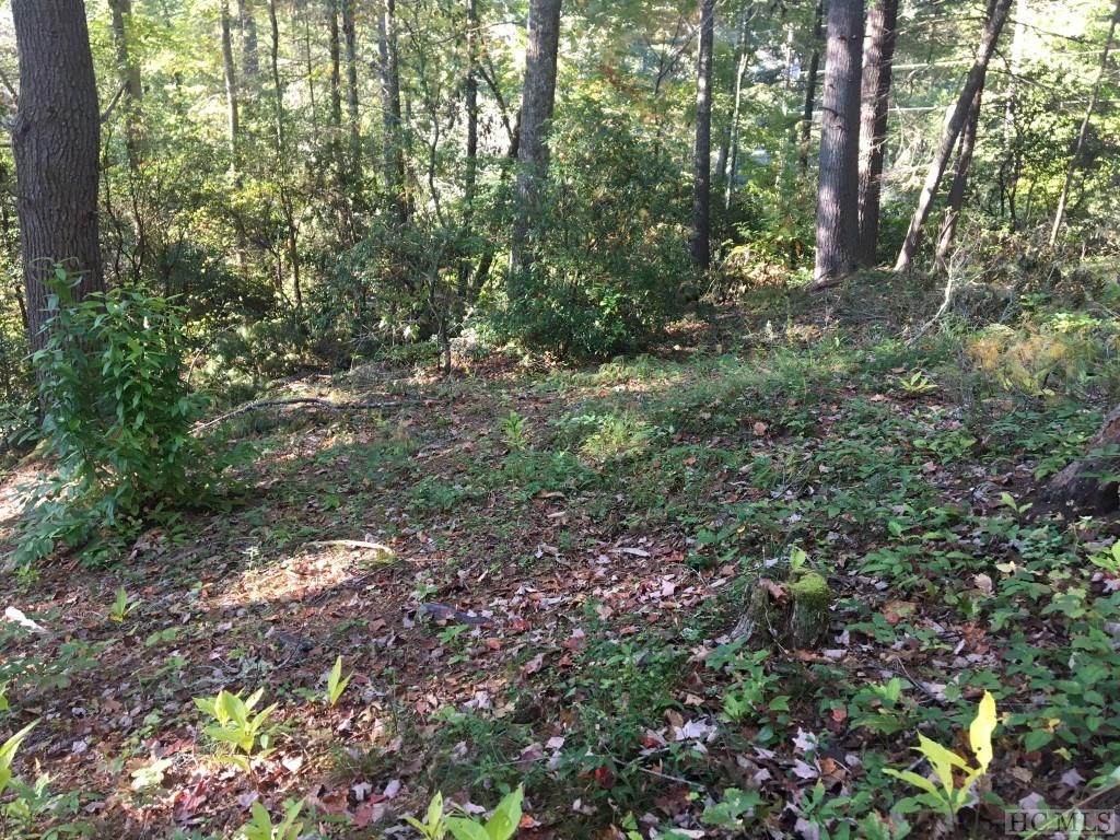 72 Rushing Brook Lane Cashiers, NC 28717 - Photo 3 of 9 Gallery Image 3