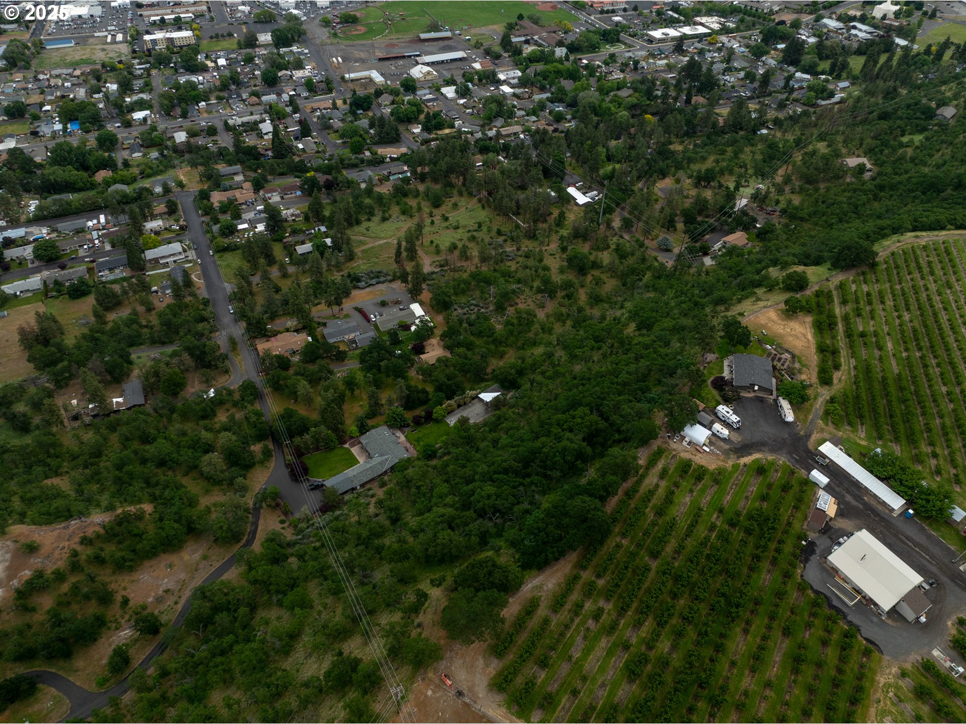 West 16th The Dalles, OR 97058 - Photo 3 of 10 a view of a tree