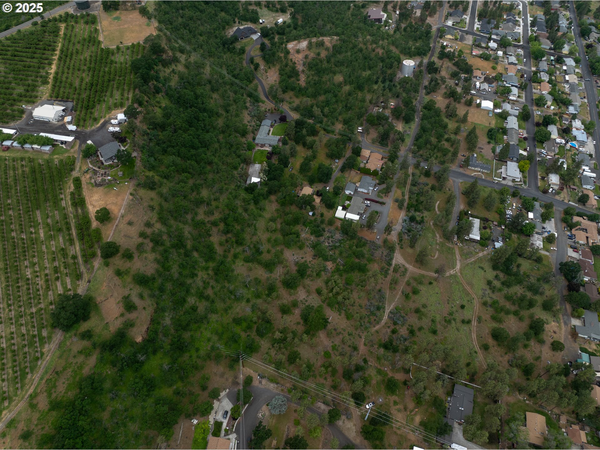 West 16th The Dalles, OR 97058 - Photo 6 of 10 a view of a tree