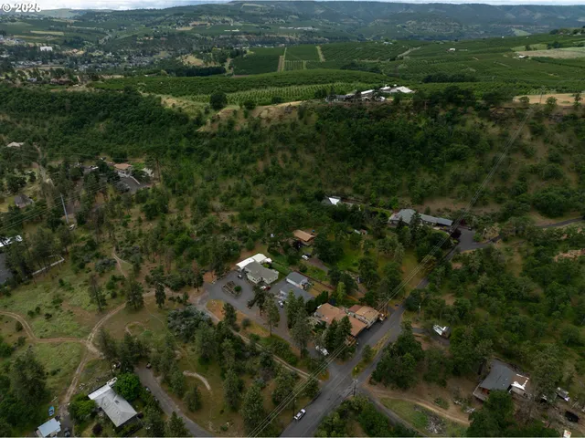 a view of a house with a lush green forest