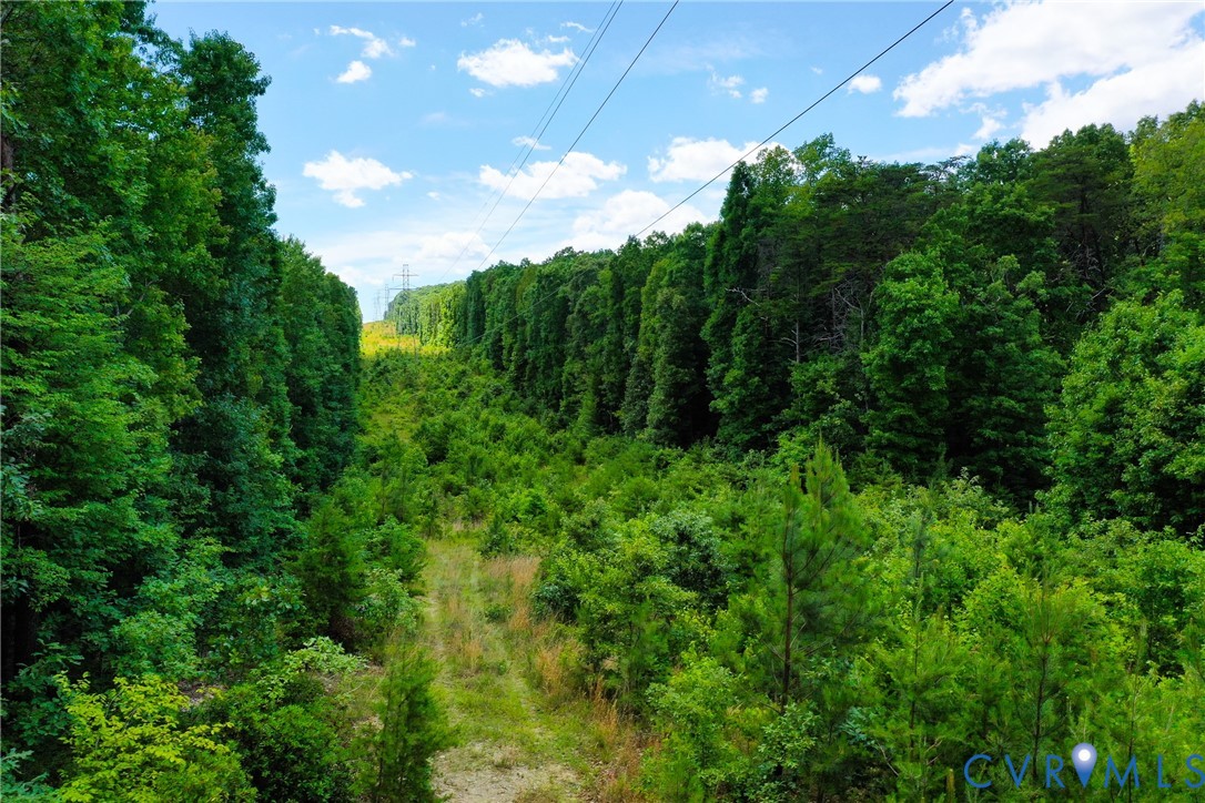 0 Mt Alto Road Esmont, VA 22937 - Photo 2 of 34