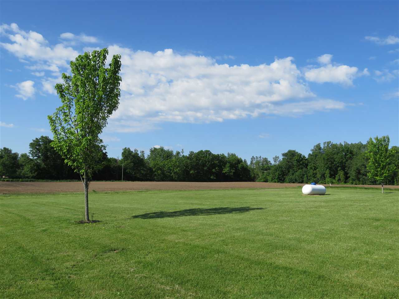 6037 South Morrice Road Perry, MI 48872 - Photo 29 of 34