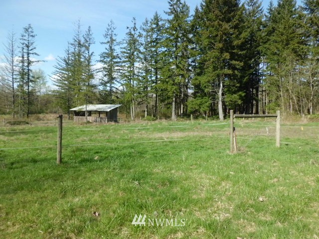 446-68 Meier Road Winlock, WA 98596 - Photo 11 of 20