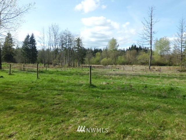 446-68 Meier Road Winlock, WA 98596 - Photo 10 of 20