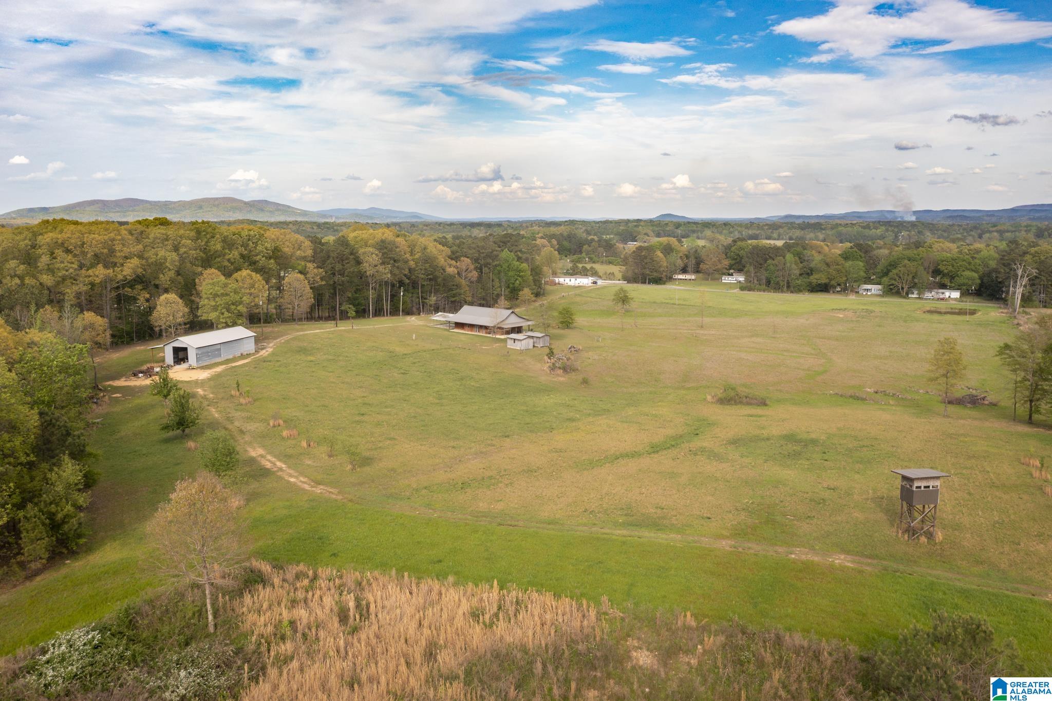 1325 Ledbetter Road Munford, AL 36268 - Photo 27 of 85