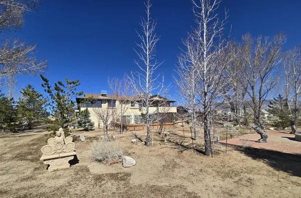 a view of a yard with a tree