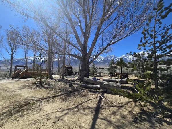 a backyard of a house with fire pit and trees