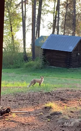 $925,000 | 136 Paradise Lane, Donnelly, ID 83615