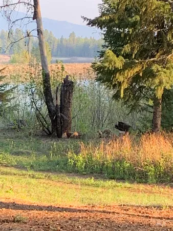 $925,000 | 136 Paradise Lane, Donnelly, ID 83615