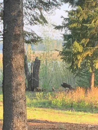 $925,000 | 136 Paradise Lane, Donnelly, ID 83615