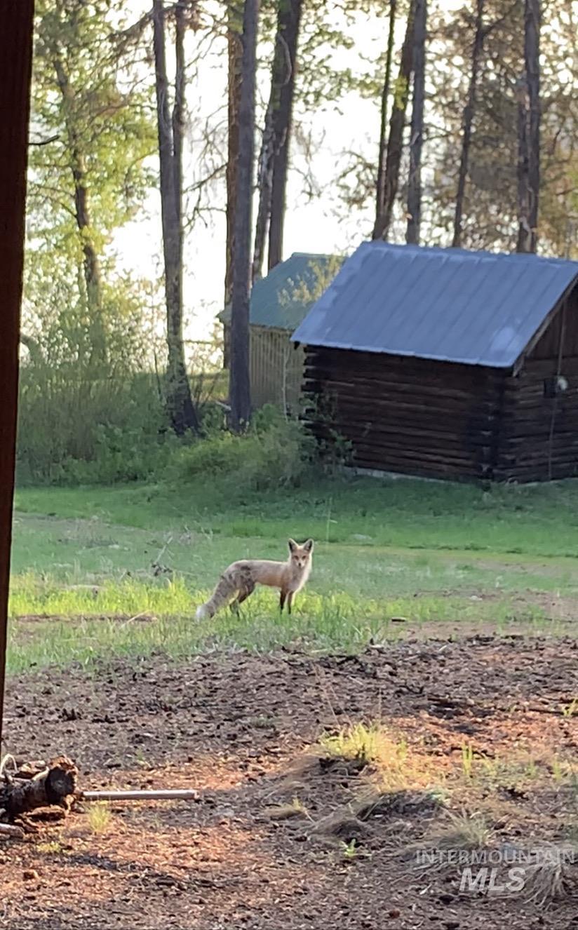 136 Paradise Lane Donnelly, ID 83615 - Photo 9 of 49