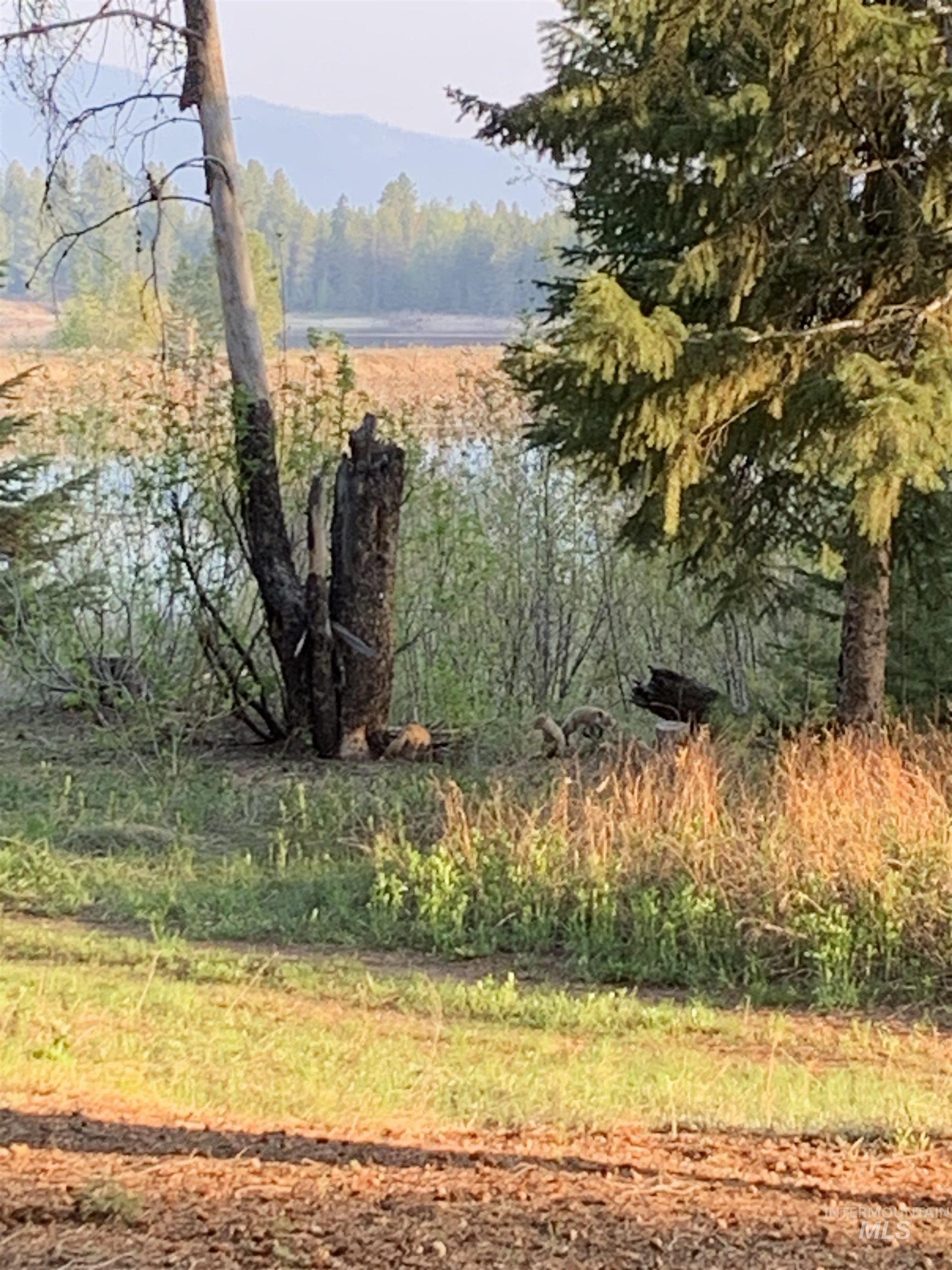 136 Paradise Lane Donnelly, ID 83615 - Photo 10 of 49